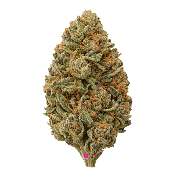 Peace Naturals 33/1 SL Sonic Lemon Fuel Online Kaufen