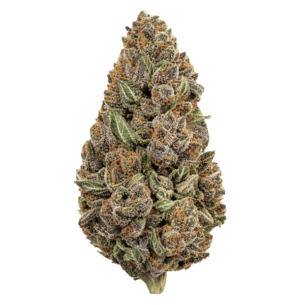 PHCANN Exotics 26/1 RP Red Pop Online Kaufen