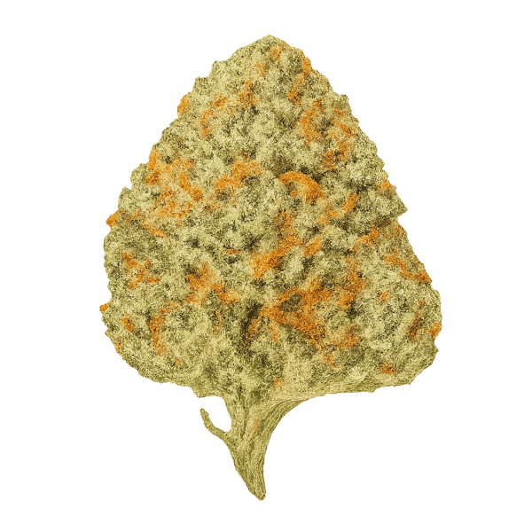 Pedanios 28/1 CMK CA Chemango Kush Online Kaufen