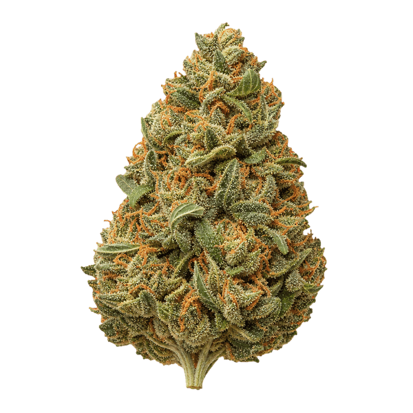 Remexian 27/1 ONO KUM Kush Mints Online Kaufen