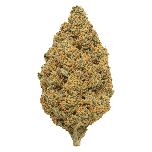 Pedanios 25/1 FLH-CA Frozen Lemon Haze Online Kaufen