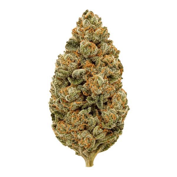 San Raf 27/1 PNK Pink OG Kush Online Kaufen