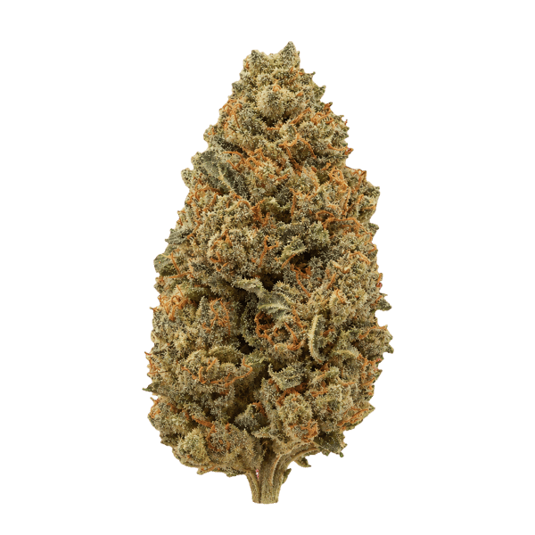 Sibanax GMO Zkittlez 24/1 Online Kaufen