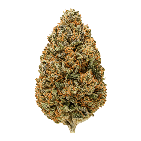slouu 33/1 COZ CA Cookies OZ Online Kaufen