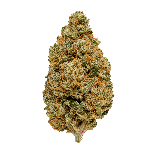 Tilray CRAFT THC 25 CCC Cherry Cheesecake Online Kaufen