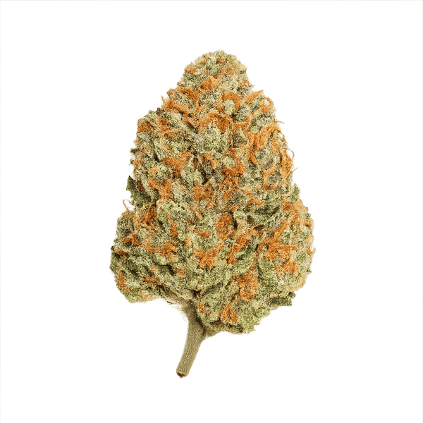 Tilray THC 15 Spotlight Porto Blueberry Online Kaufen