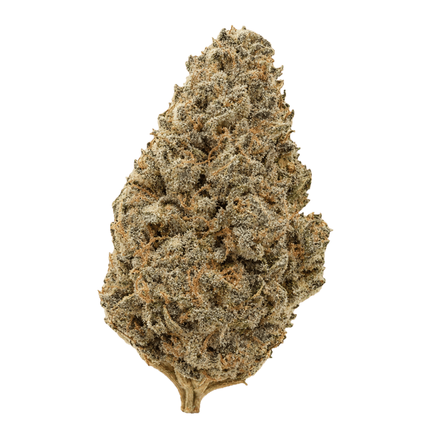 TRUU GT 23:01 Crumbled Lime Online Kaufen