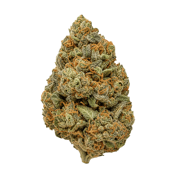Wellford Luma 26/1 ZA SOC Sour OG Cheese Online Kaufen