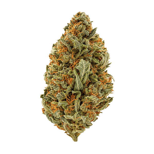 Zoiks 22/1 SLD Sun Lemon Diesel Online Kaufen