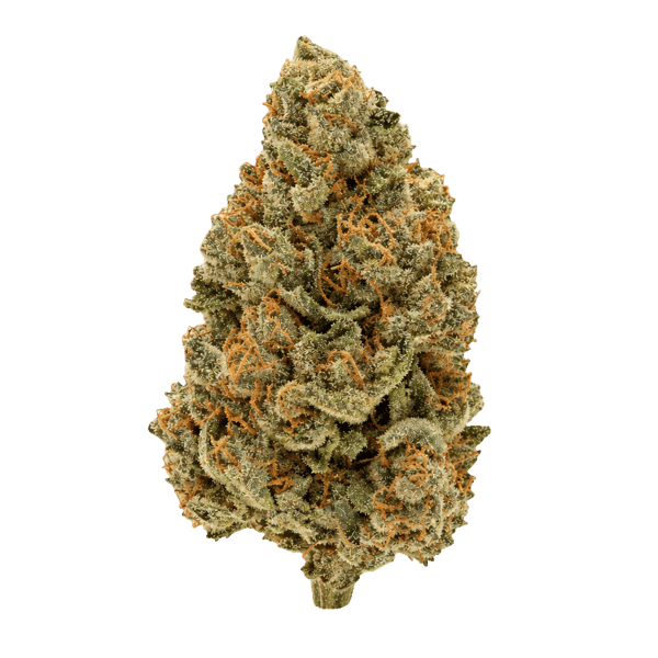 Wellford Aquaponic 29/1 COP Critical Orange Punch Online Kaufen