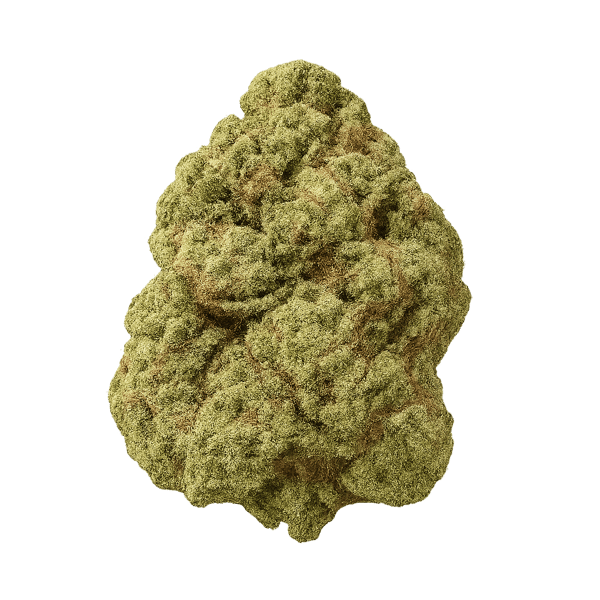 Wellford Aquaponic 24/1 SDK Sensi Double Kush Online Kaufen