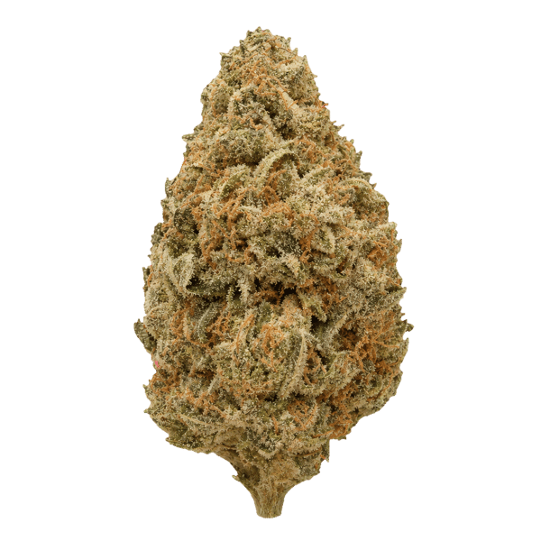 Wellford Luma 24/1 ZA SOC Sour OG Cheese Online Kaufen