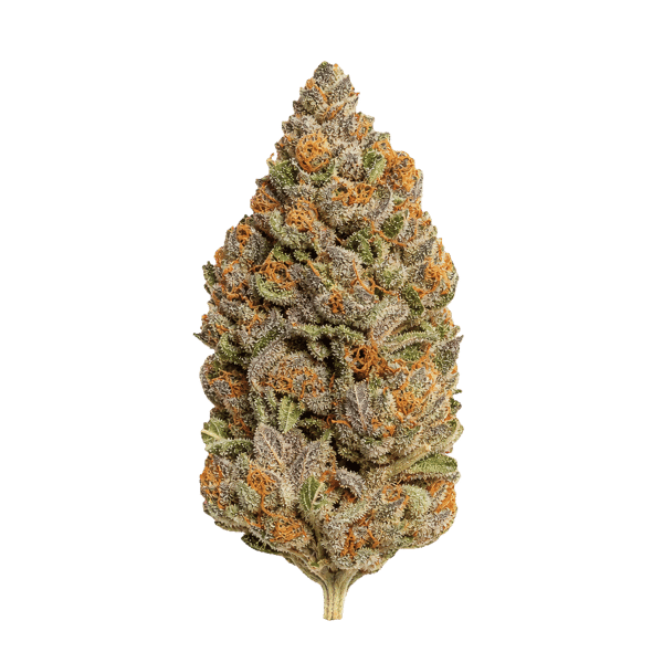 Ekolicious 27/1 GPG Grape Goat Online Kaufen