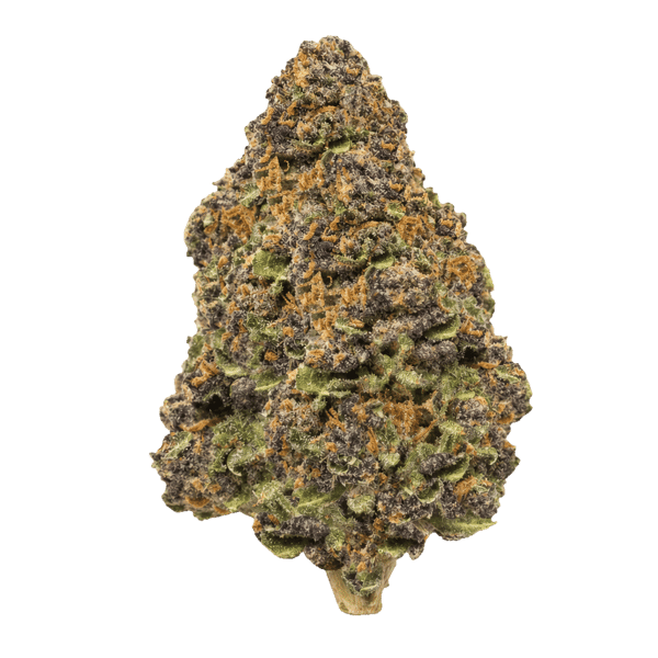 Cannamedical Hybrid Forte BC Lemon Cookies Online Kaufen