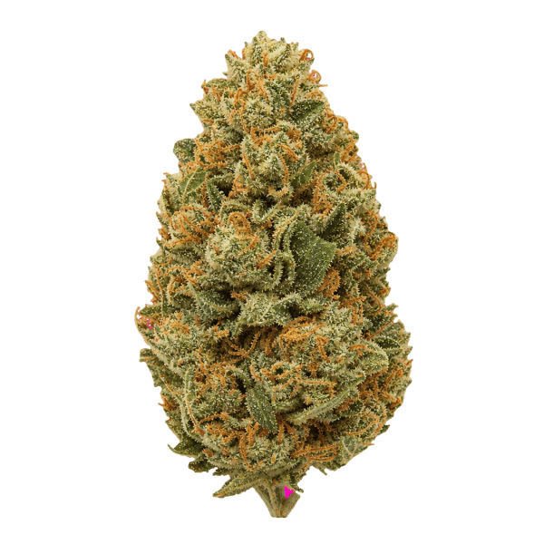 Weeco LMC 30/1 Lemoncello Online Kaufen