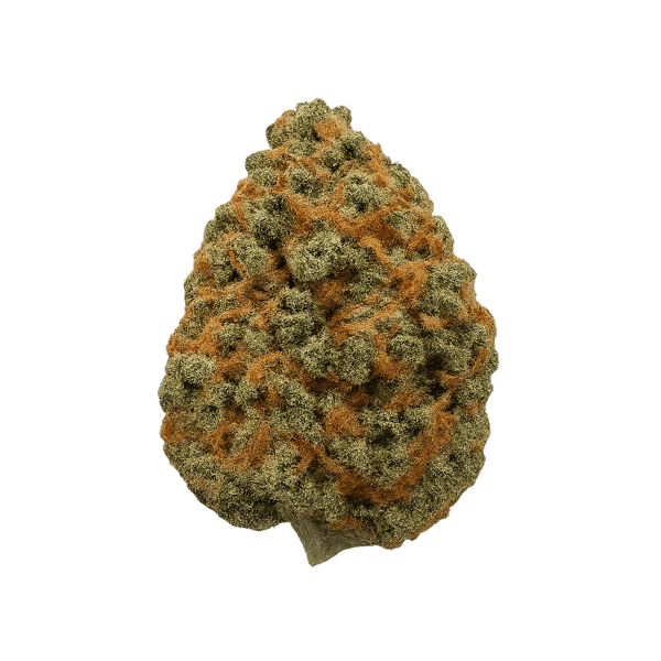 Weeco 20/1 WW White Widow Online Kaufen