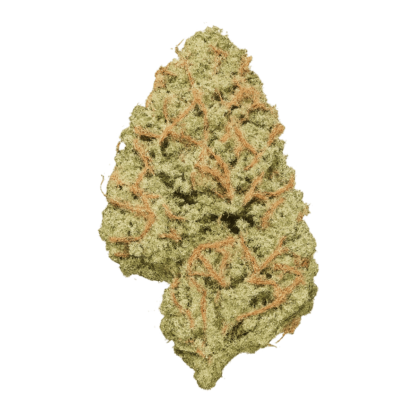 Weeco 20/1 HK Hindu Kush Online Kaufen