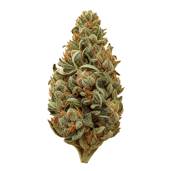 Slouu 27/1 SCH CA Sour Crush Haze Online Kaufen