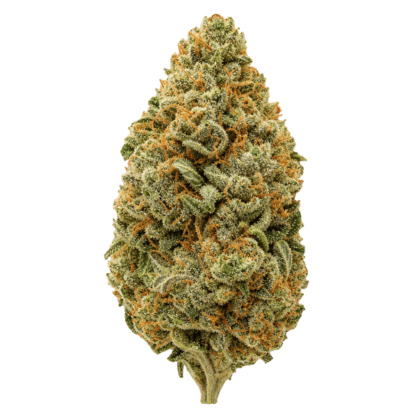 Cannamedical Indica Classic AU LPC London Pound Cake Online Kaufen
