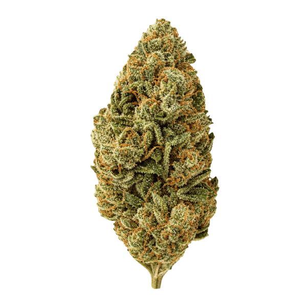 Demecan Core ORNG 19:01 Orange Dreamsicle  Online Kaufen