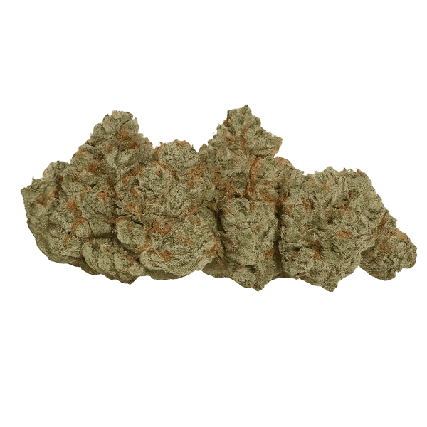avaay Signature 29/1 OGC Ocean Grown Cookies Online Kaufen
