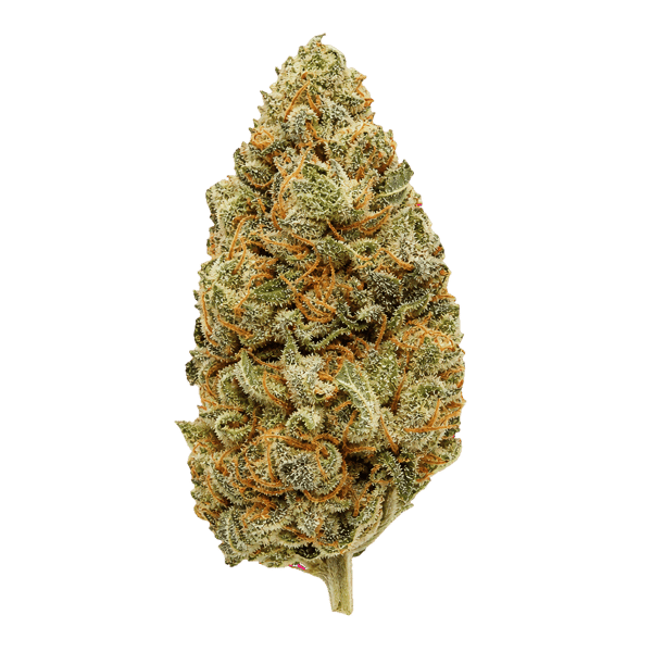 enua 27/1 COZ CA Cookies OZ Online Kaufen