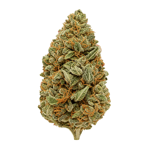 CherryCo THC 25 Sativa Arctic Gorilla Online Kaufen
