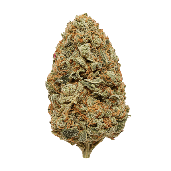 22/1 NICE BZO Blue Zoda Online Kaufen