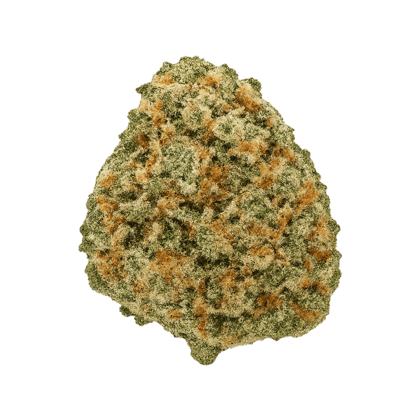 IMC THC22 T01 HK Hindu Kush Online Kaufen