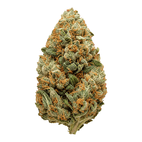 Luana 20/1 OG Watermelon OG Online Kaufen