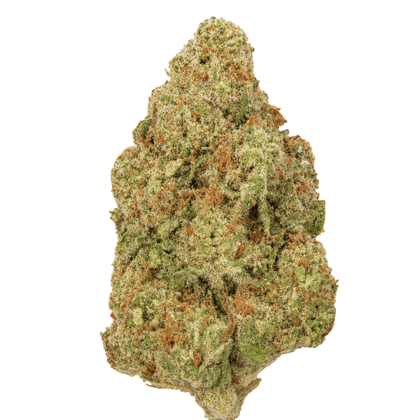 Sumo PAB 25/1 Papaya Bomb Online Kaufen