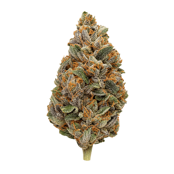 APEX DNC CA 35/1 Durban Nectar Online Kaufen