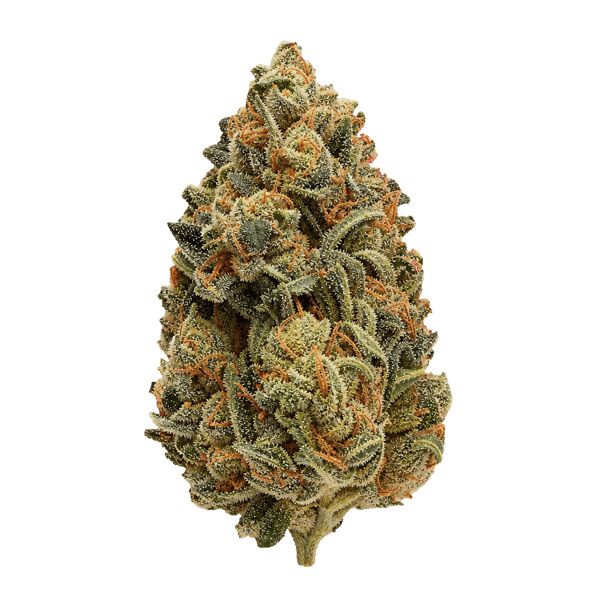 Bud-Jet 21/1 SUS Sunset Sherbet Online Kaufen