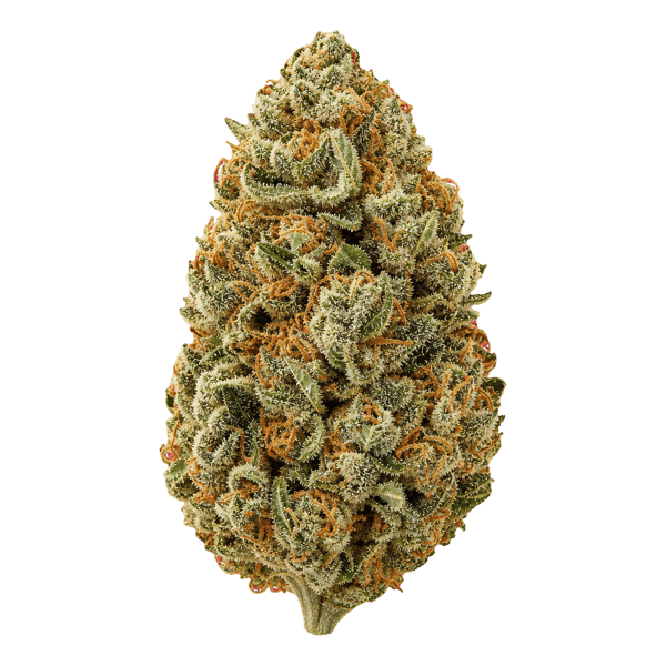 AphriaRX THC28 AMH Amnesia Haze Online Kaufen