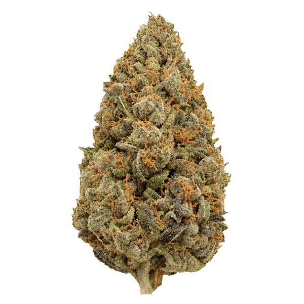 TRUU GT 27:01 Crumbled Lime Online Kaufen