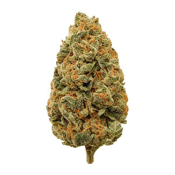 TRUU GT 22:01 Tangerine Dream Online Kaufen