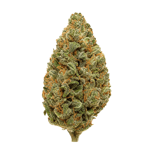 Beacon SCP T30 Sweet Cherry Pie Online Kaufen