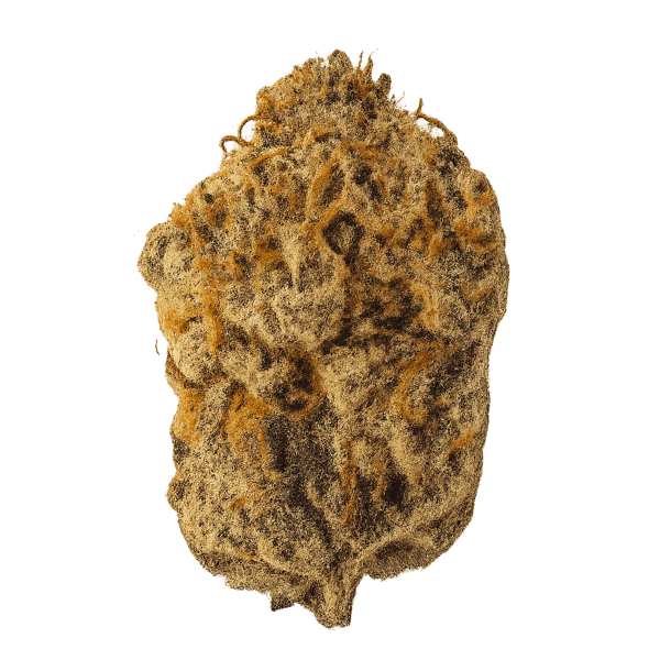 Cannamedical Indica forte ZAF Black Cherry Punch Online Kaufen