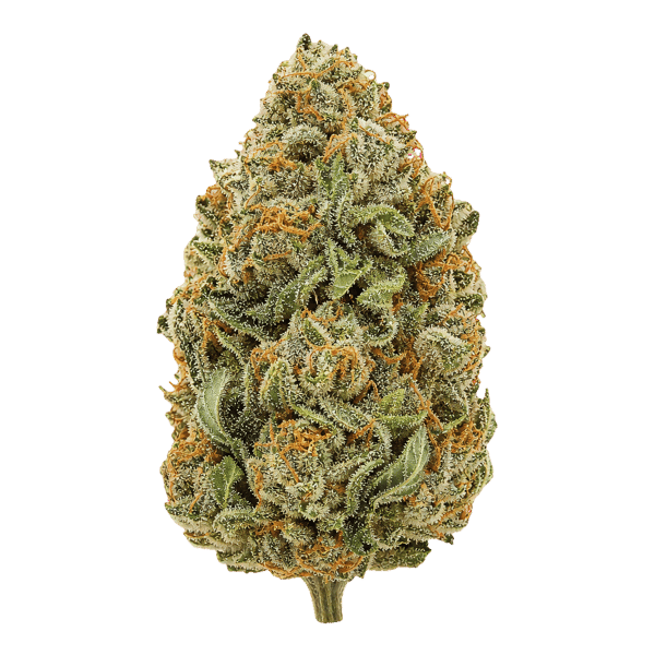 CM 32/1 SRK Sour Kush Online Kaufen