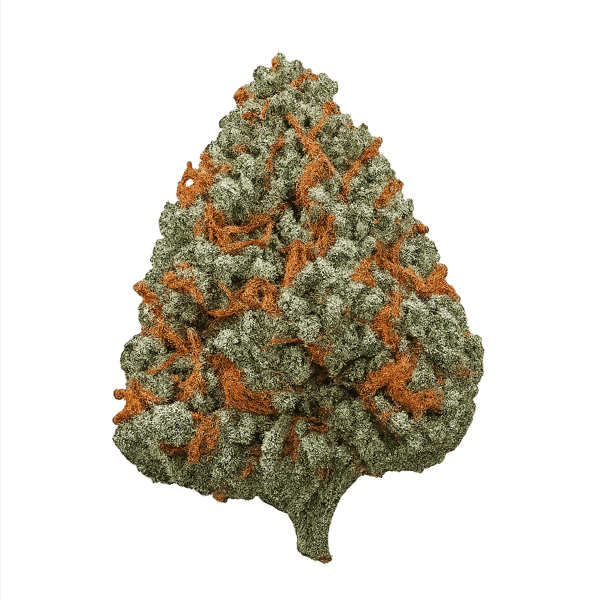 madrecan 27/1 PIP Pineaple Purps Online Kaufen