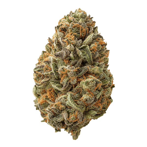 Cannabec Culture 27/1 FTP Fruity Pebbles Online Kaufen