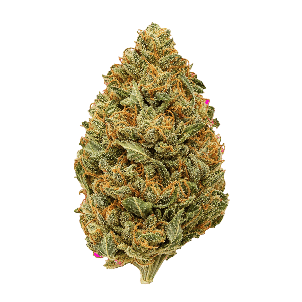 Truth Holdings LH 31/1 Liberty Haze Online Kaufen