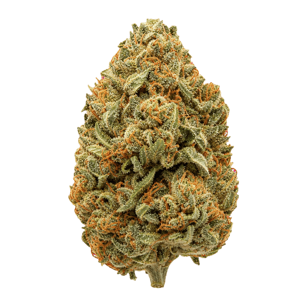 The BC Green CD 25/1 Chemdog Online Kaufen