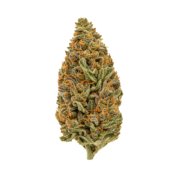 Cannamedical Hybrid Ultra KA CM Cosmic Mac Online Kaufen
