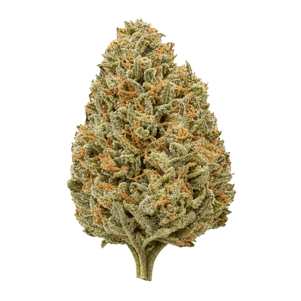 Cannamedical Sativa Forte NM Goofiez Online Kaufen