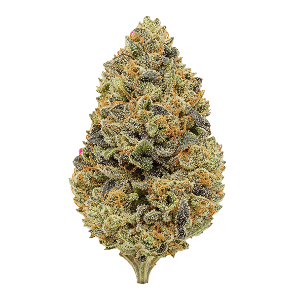 Edelweiss Zkittlez PCG TBF 20/1 Online Kaufen