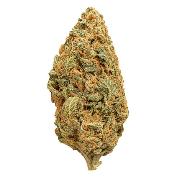 Weeco Vasco 18/1 Skunk Widow Online Kaufen