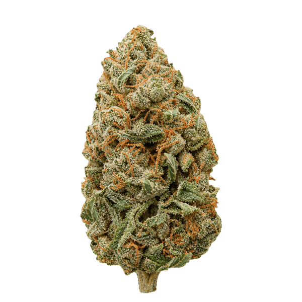 Truth Holdings LH 32/1  Liberty Haze Online Kaufen
