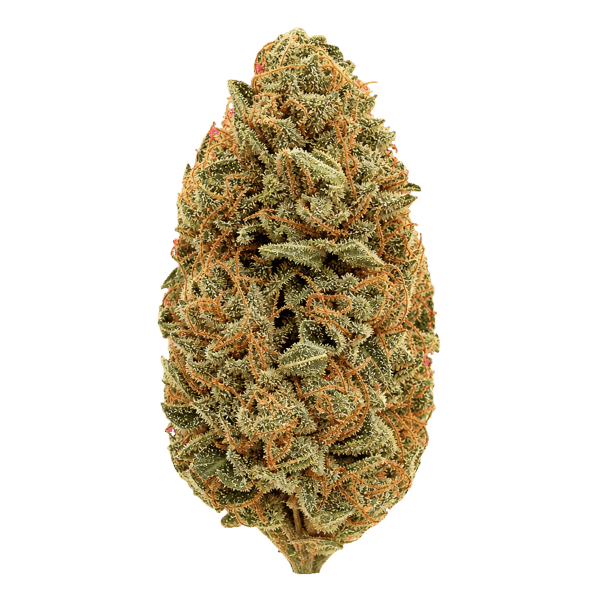 Fire Gold 33/1 FOG Fire OG Online Kaufen