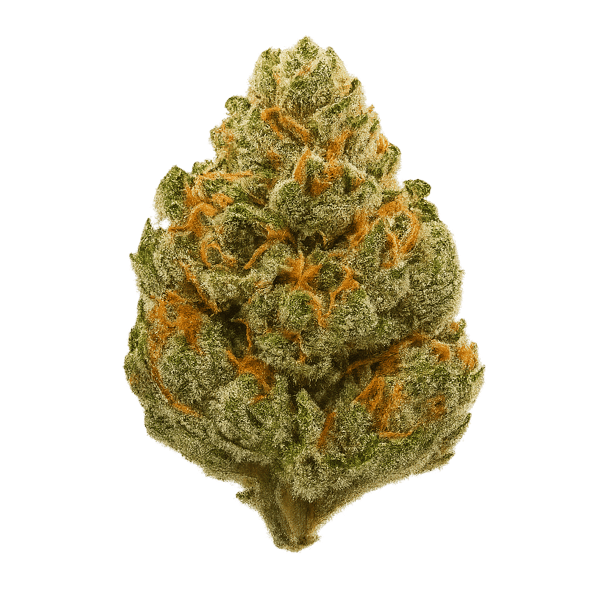 Cannamedical CM 24/1 OGK OG Kush Online Kaufen